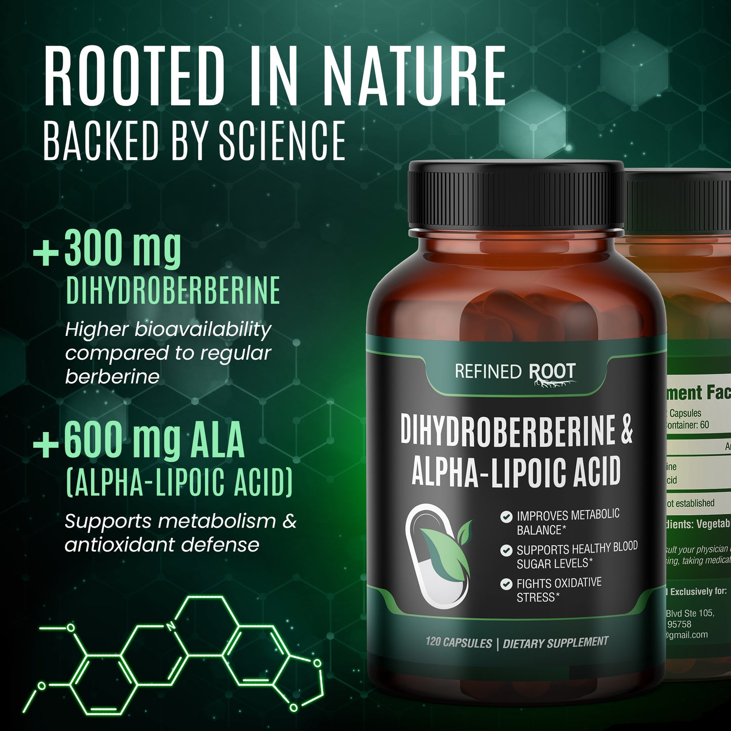 Refined Root - Dihydroberberine 300mg with Alpha-Lipoic Acid 600mg Supplement for Optimal Health